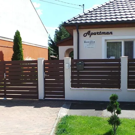 Rozalia Apartment Gyula